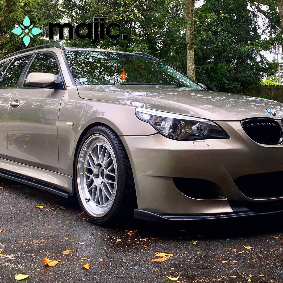 BMW Platinum Bronze Paint