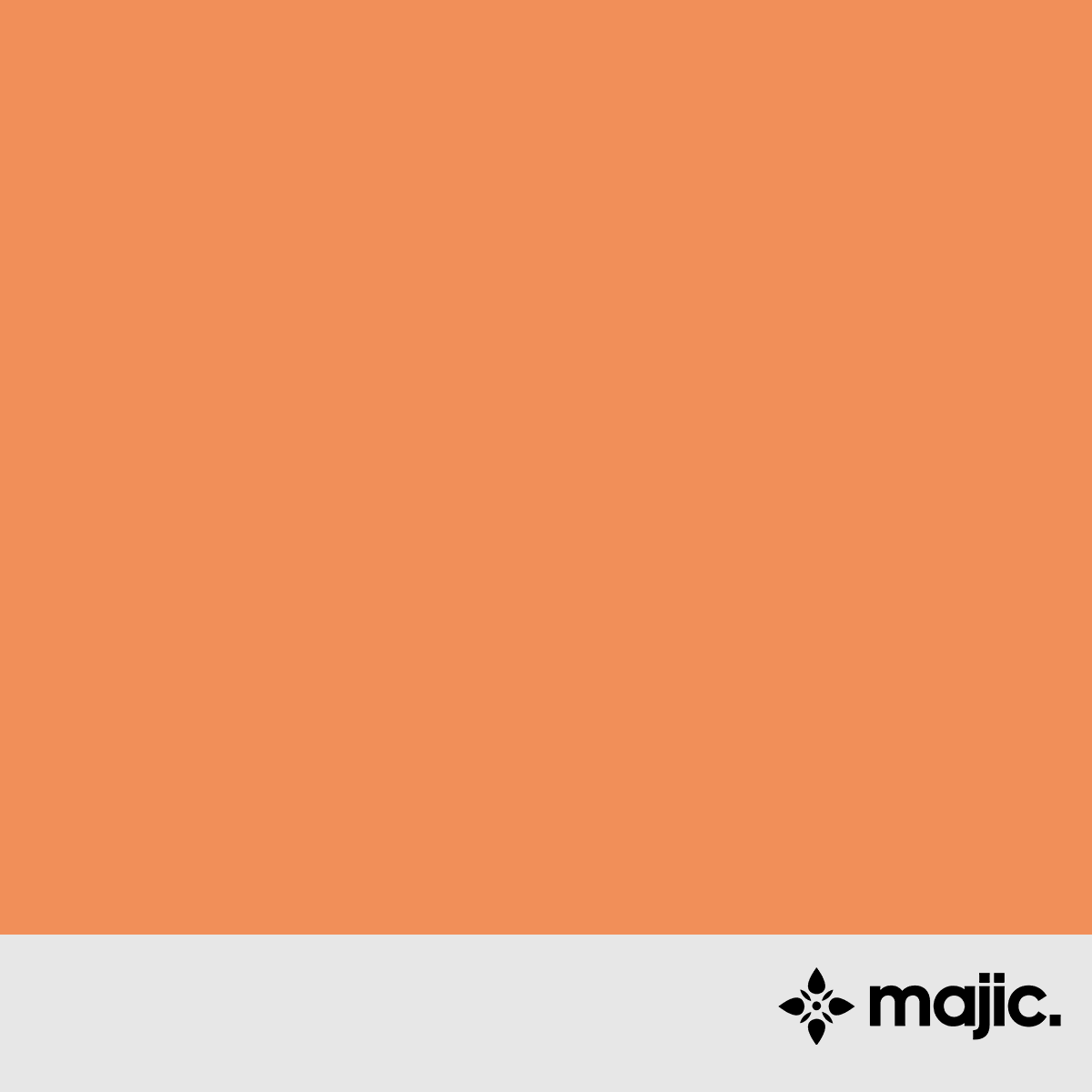 BS4800 06 E 51 Clementine Paint