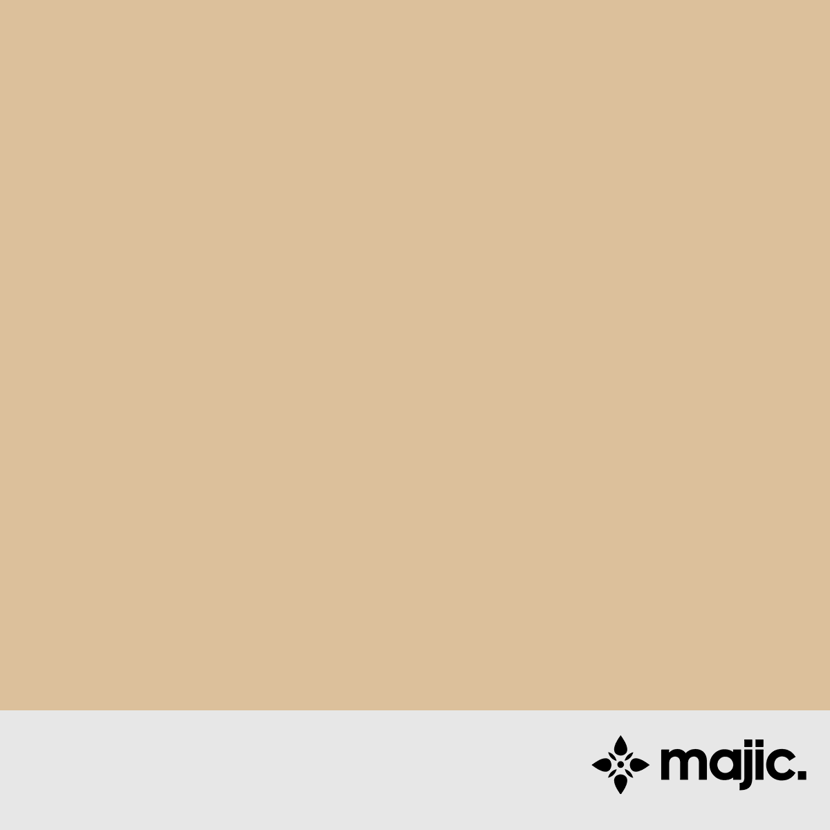 BS4800 08 C 33 Beige Paint