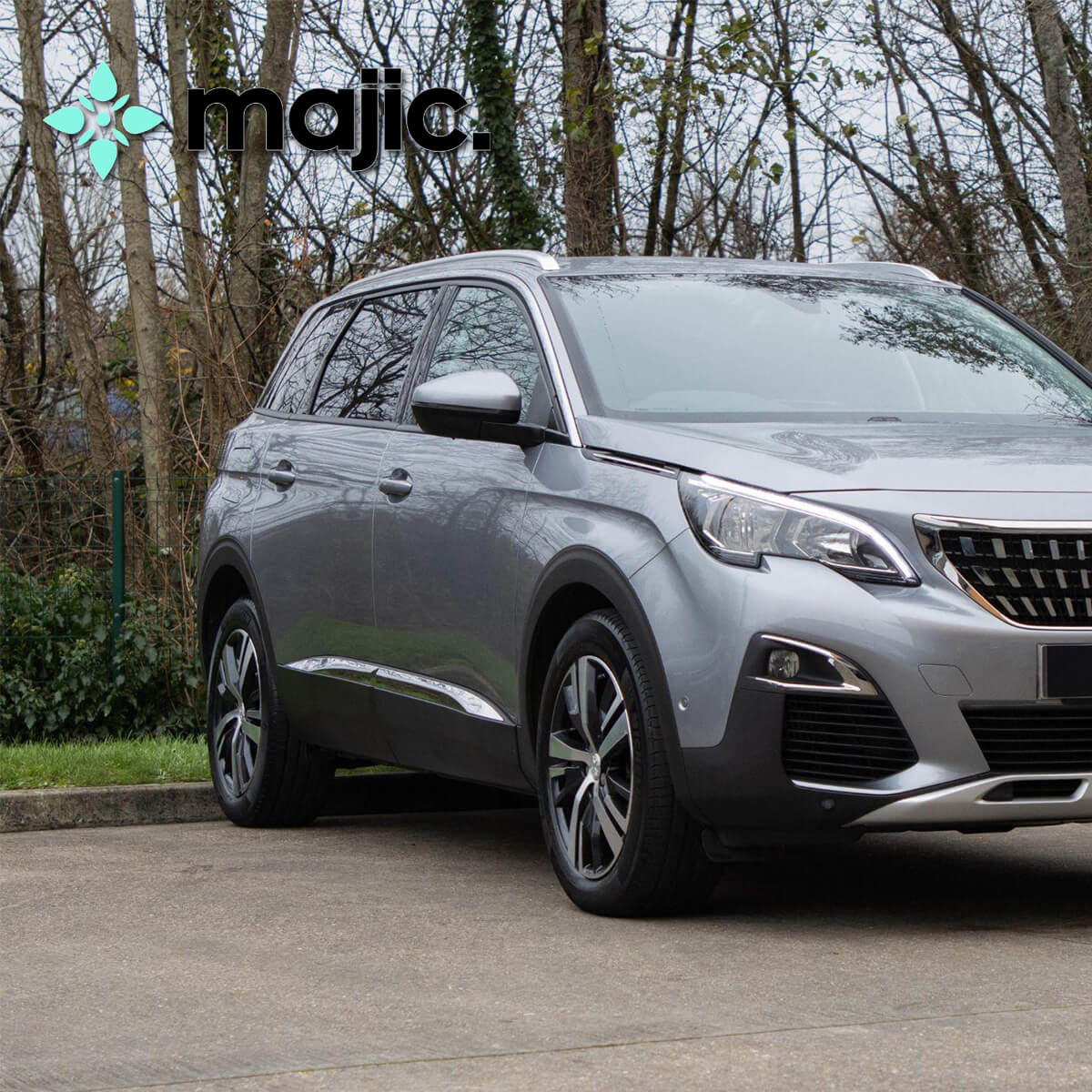 Peugeot Gris Artense Grey Paint