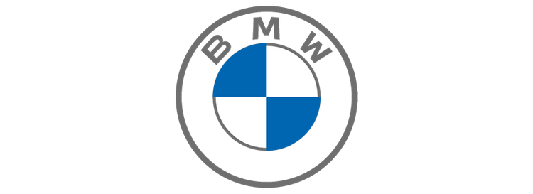 BMW Paints