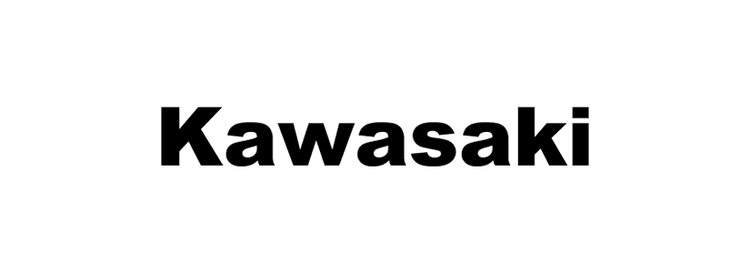 Kawasaki Paints