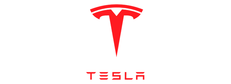Tesla Paints
