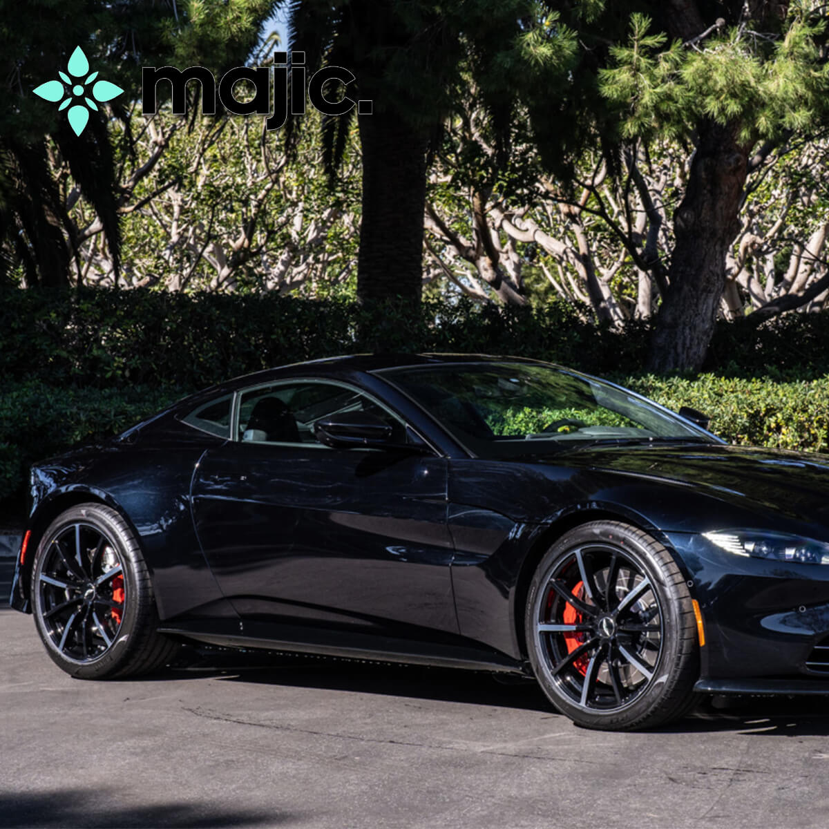 Aston Martin Ultramarine Black Paint