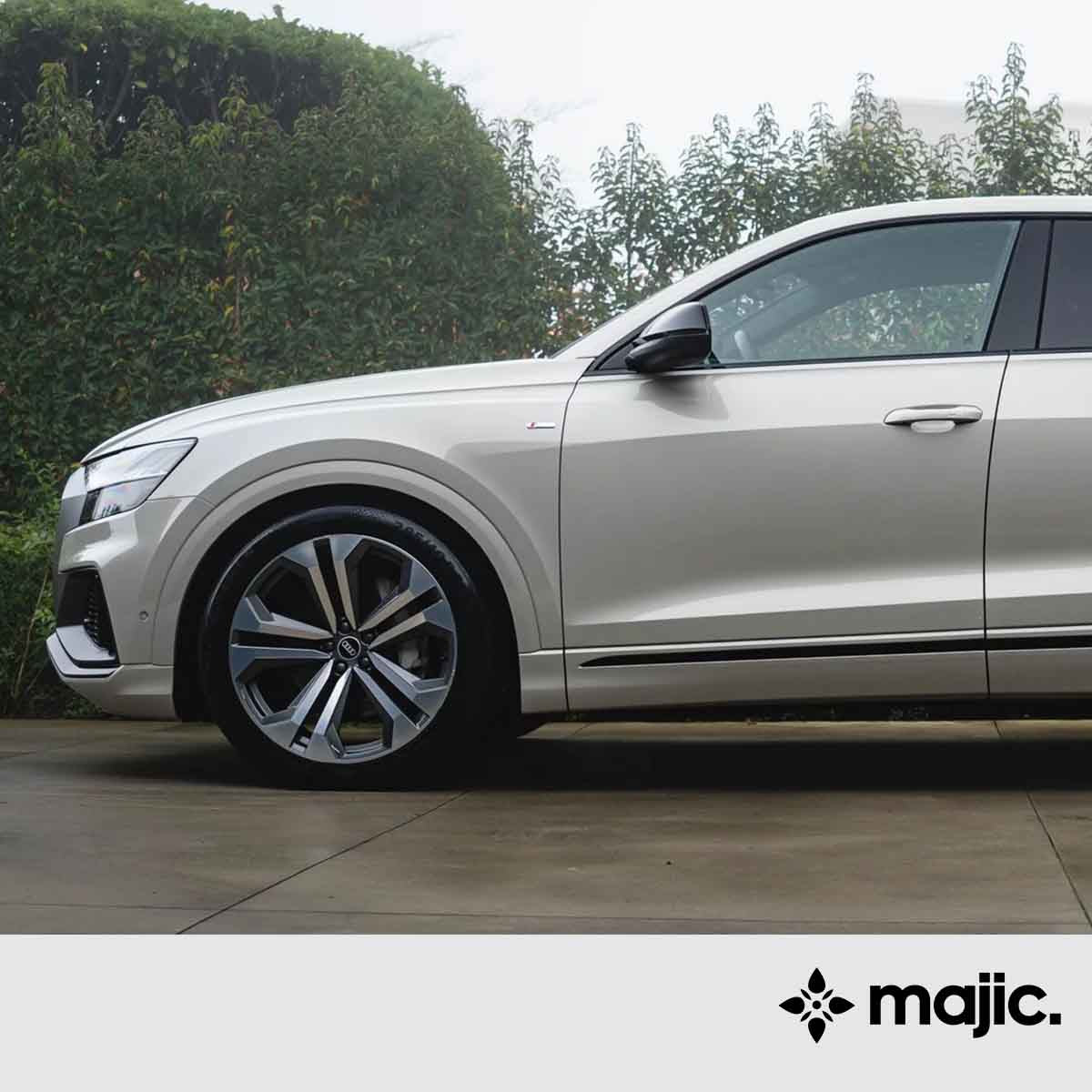 Audi Vicuna Beige Paint (L1X)