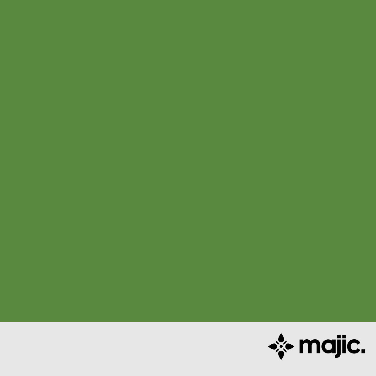 BS381c 221 Brilliant Green Paint