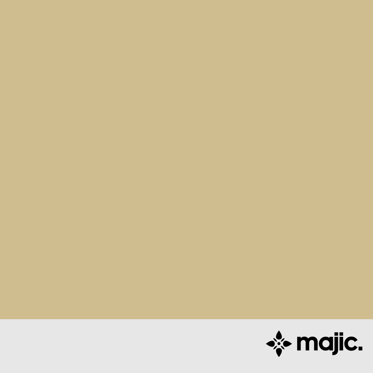 BS381c 361 Light Stone Paint