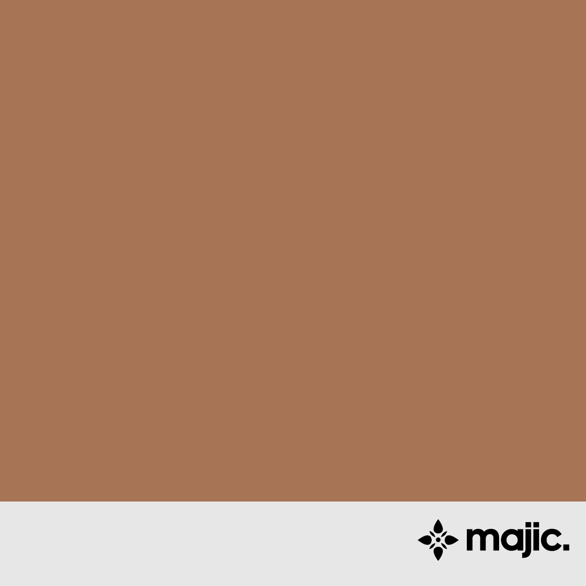 BS4800 06 C 37 Brownstone Paint
