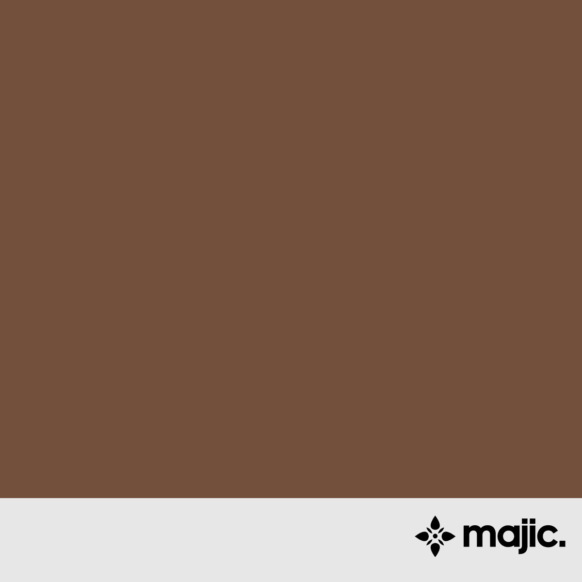 BS4800 06 C 39 Saddle Paint