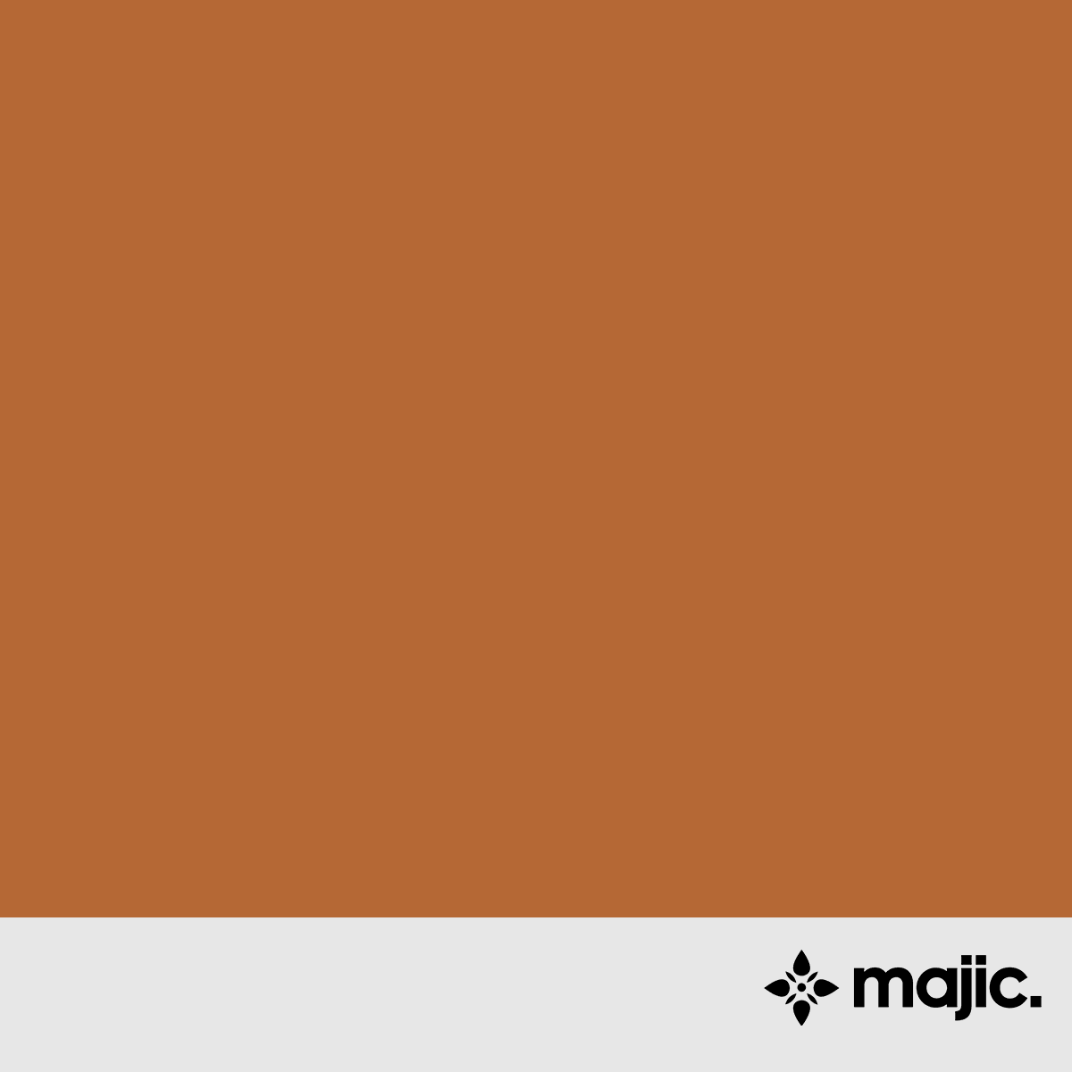 BS4800 06 E 56 Nectarine Paint