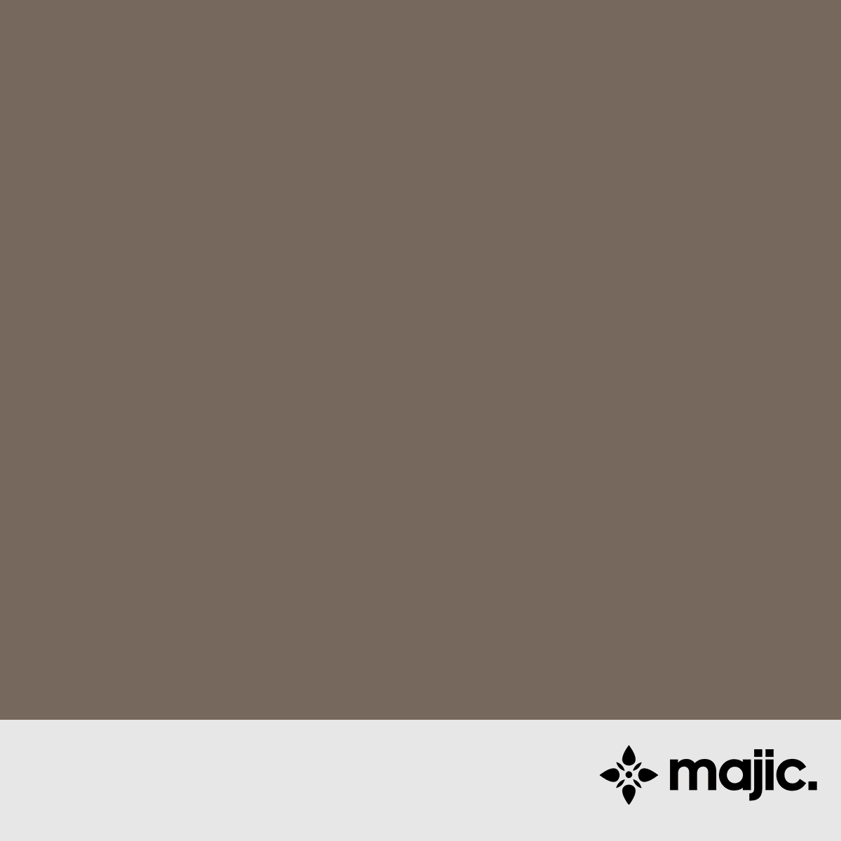 BS4800 08 B 25 Beaver Brown Paint