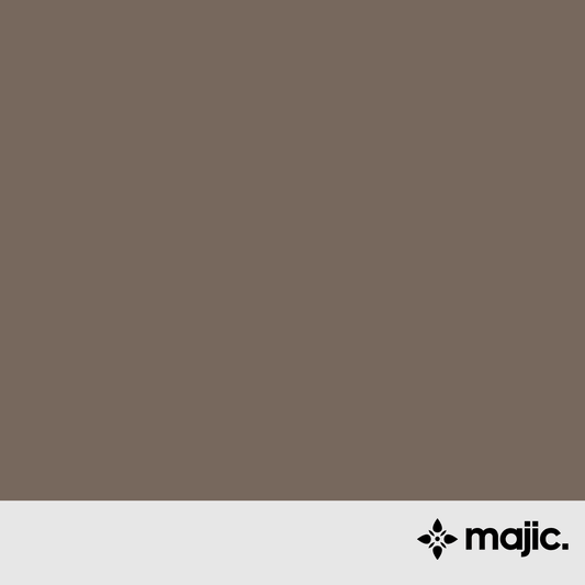 BS4800 08 B 25 Beaver Brown Paint