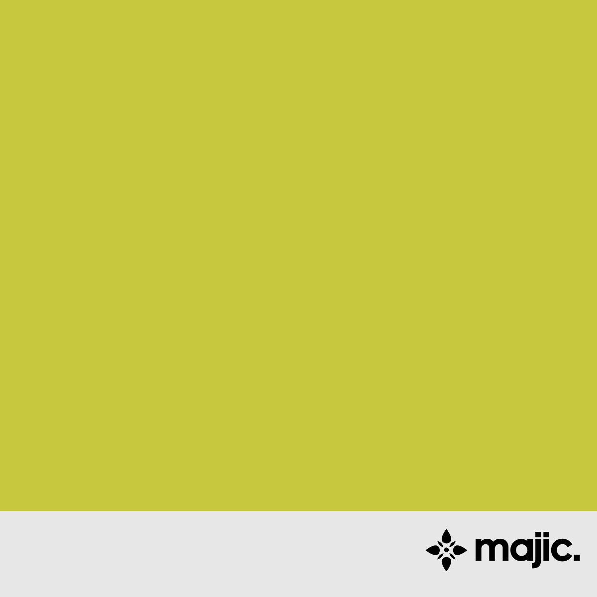 BS4800 12 E 51 Citrine Paint