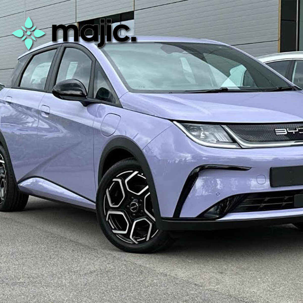 BYD Amethyst Purple Paint (CA2)