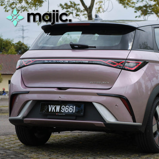 BYD Coral Pink Paint (KW)