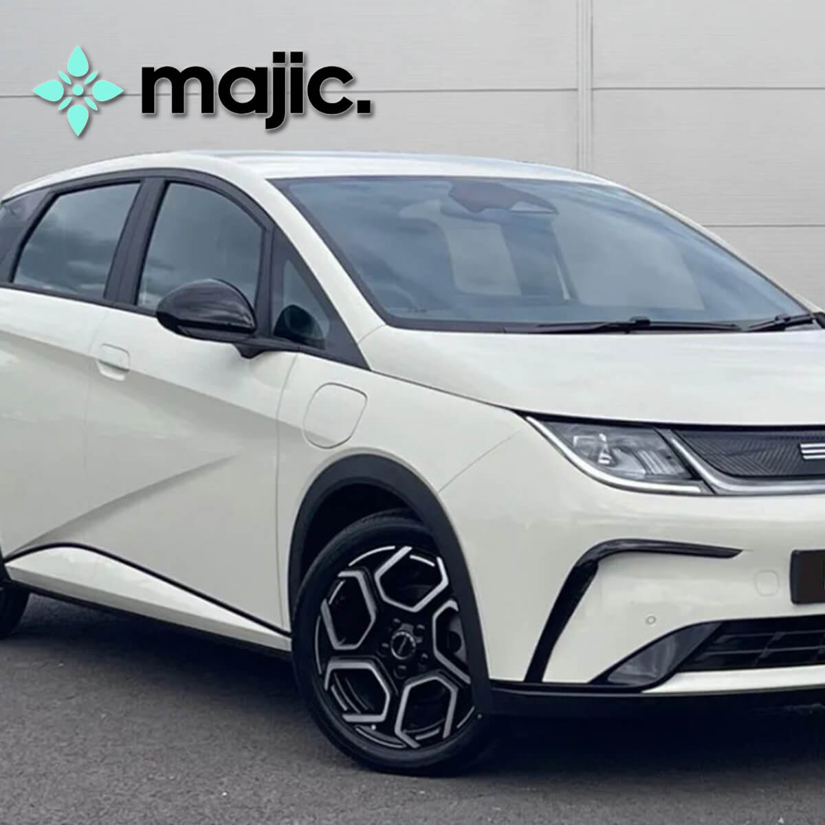 BYD Cream White Paint (YB1)