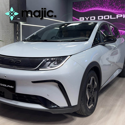 BYD Skiing White Paint (WAC)