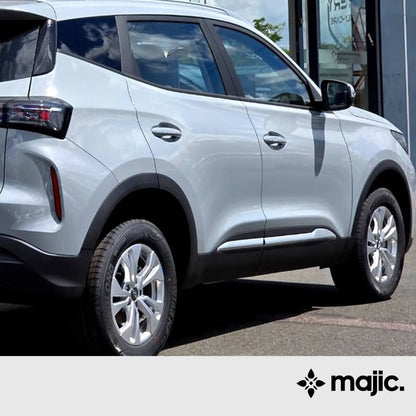 Chery Technical Grey Paint (GX)