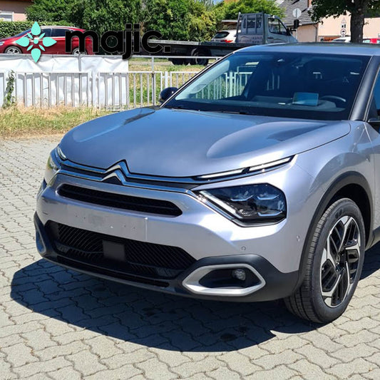 Citroen Gris Artense Grey Paint