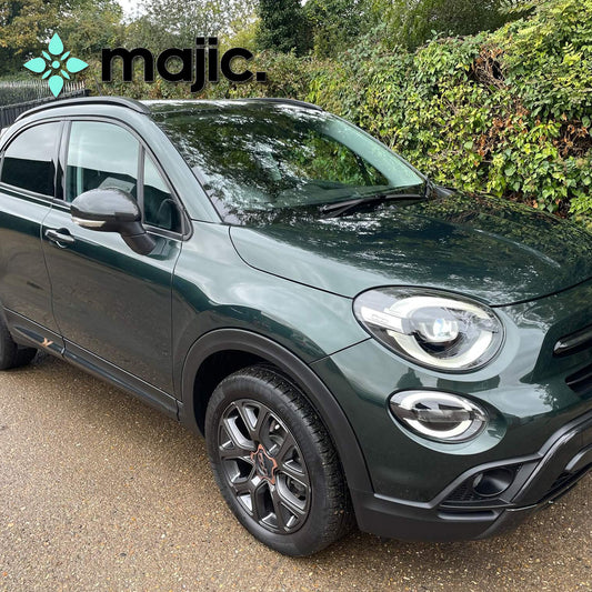 Fiat Techno Green Paint (019/B)