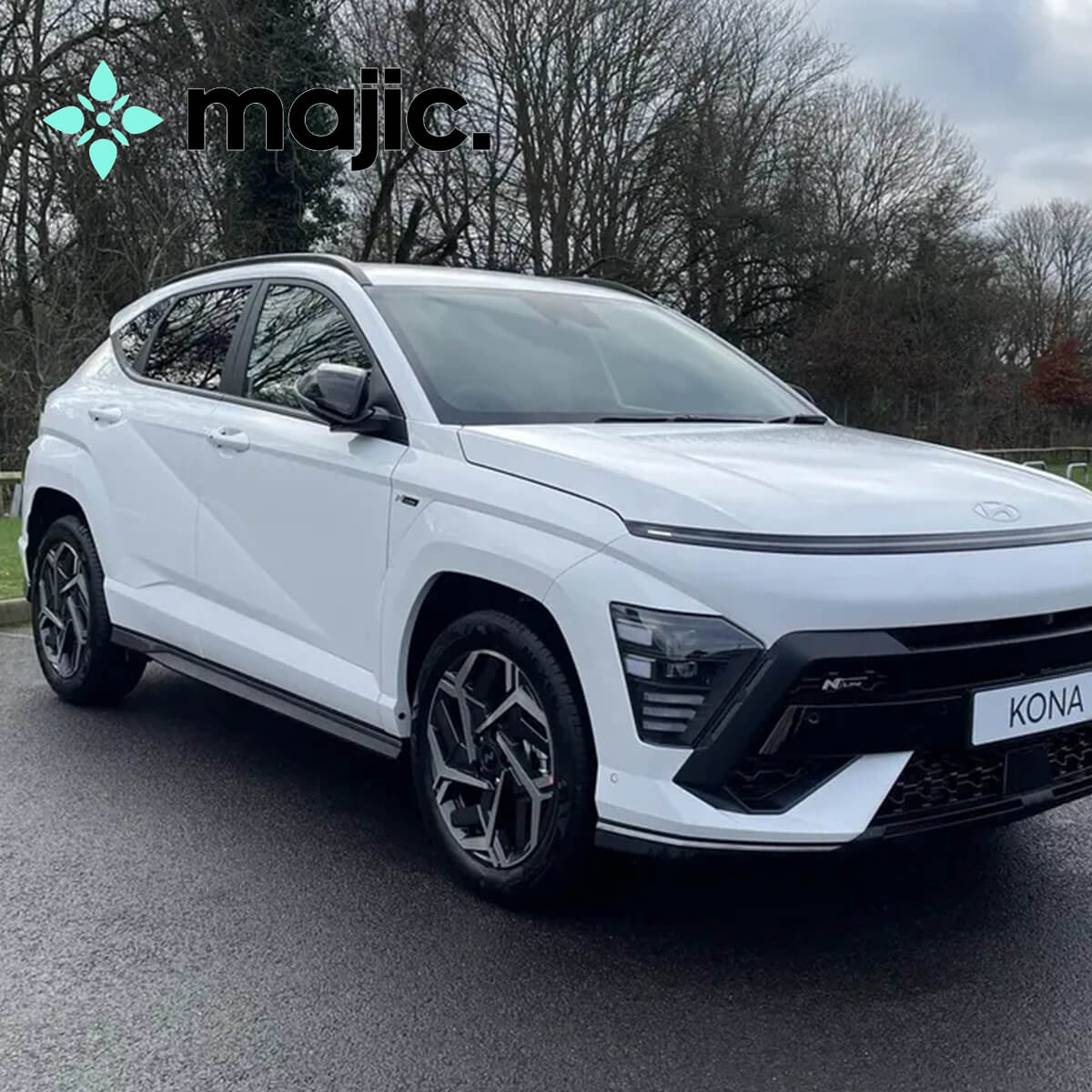Hyundai Atlas White Paint (WHT)