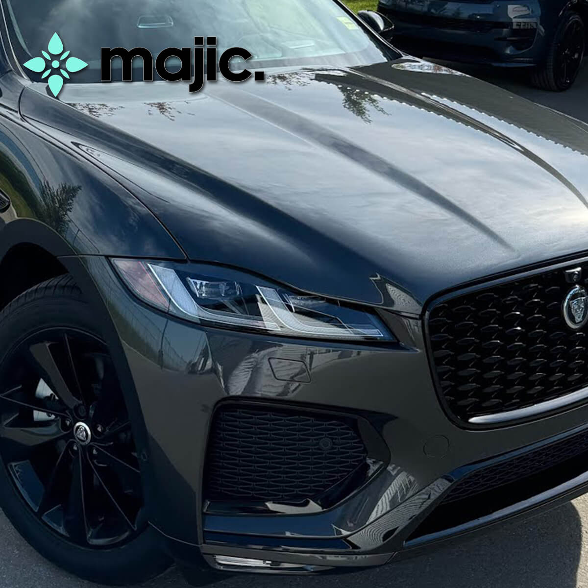 Jaguar Carpathian Grey Paint (LOT)