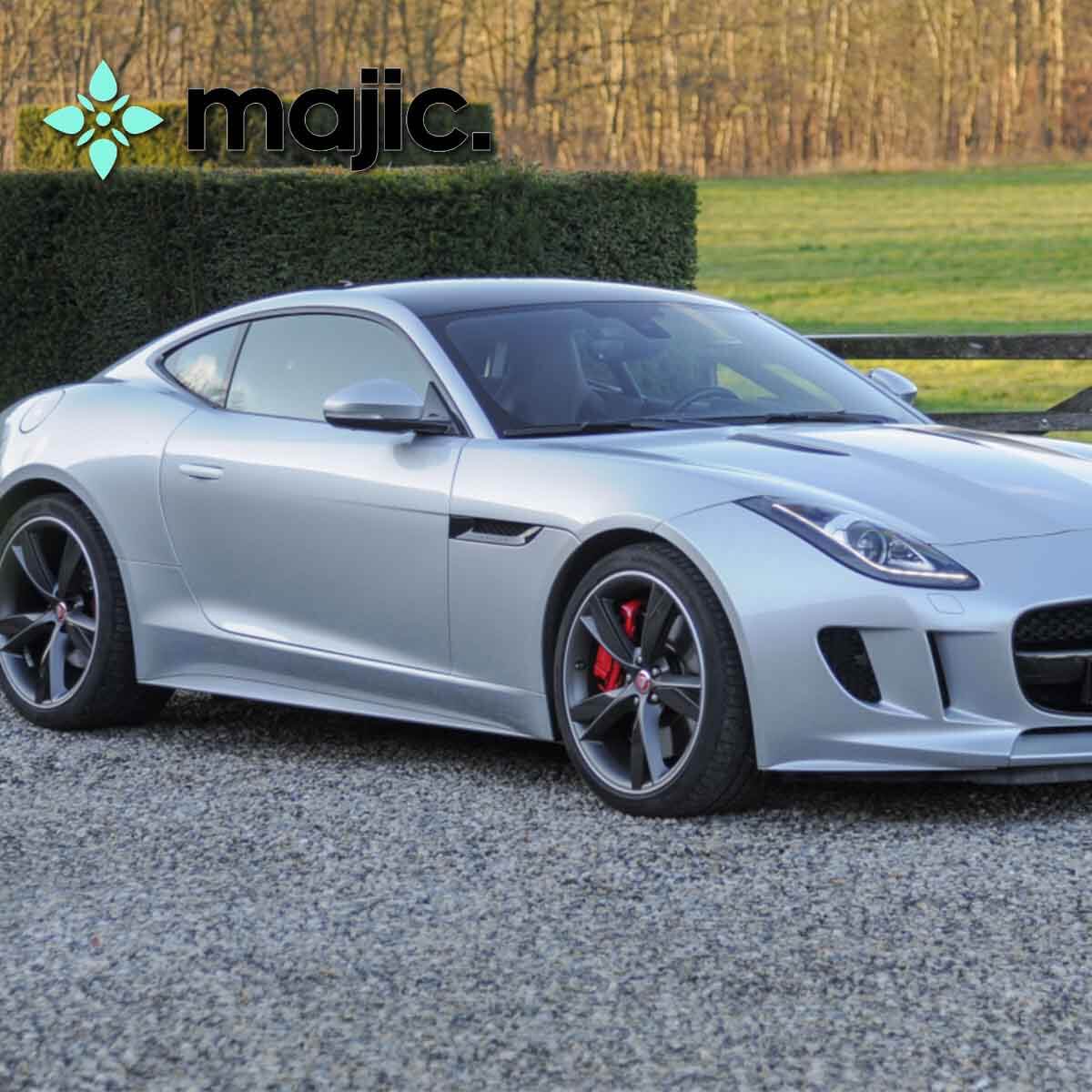 Jaguar Rhodium Silver Paint (1AC)