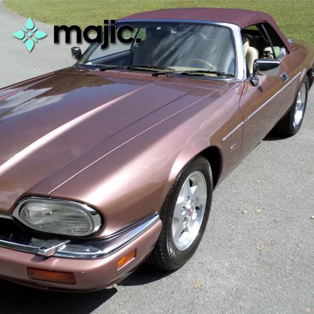 Jaguar Rose Bronze (795)