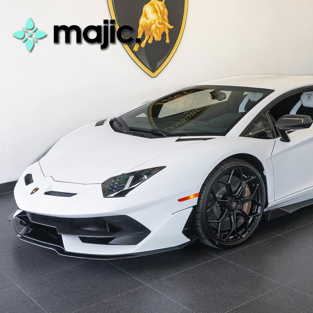 Lamborghini Bianco Phanes Paint
