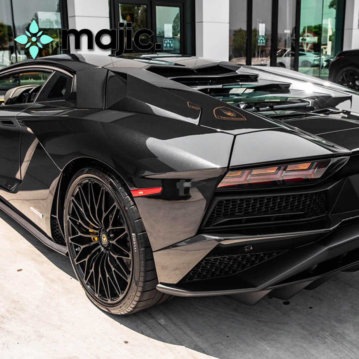 Lamborghini Nero Pegaso Black Paint
