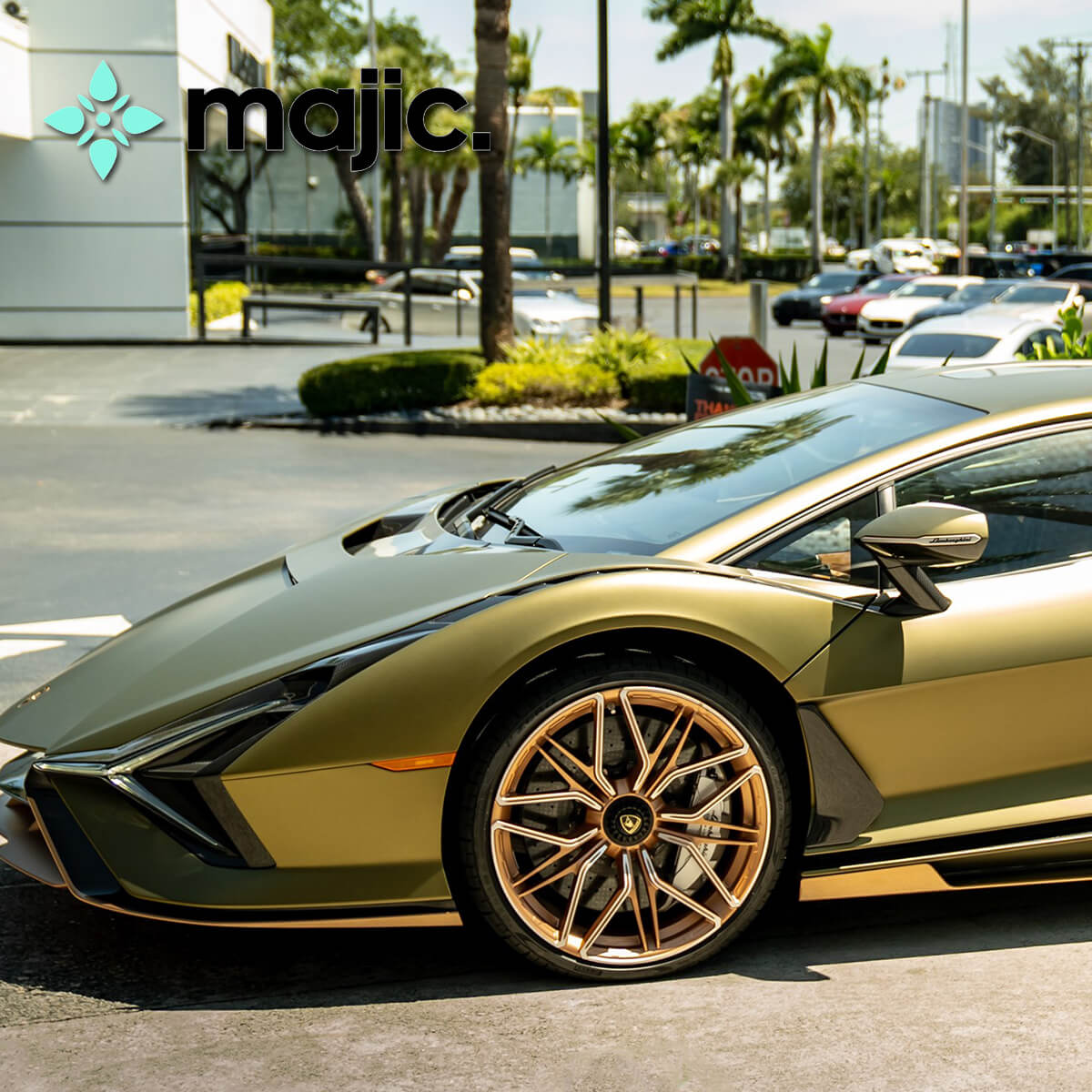 Lamborghini Oro Electrum Lucido Paint
