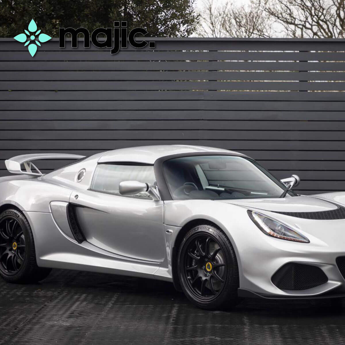 Lotus Arctic Silver Paint (C130)