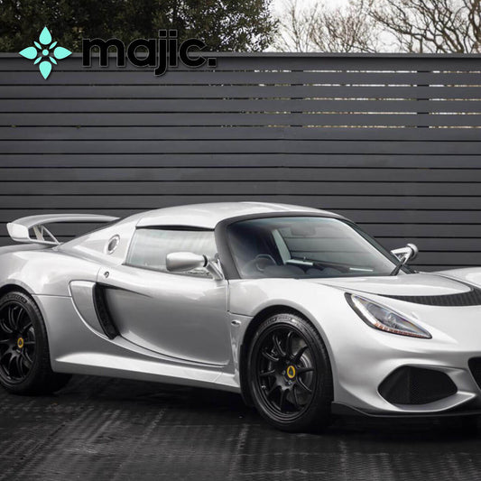 Lotus Arctic Silver Paint (C130)