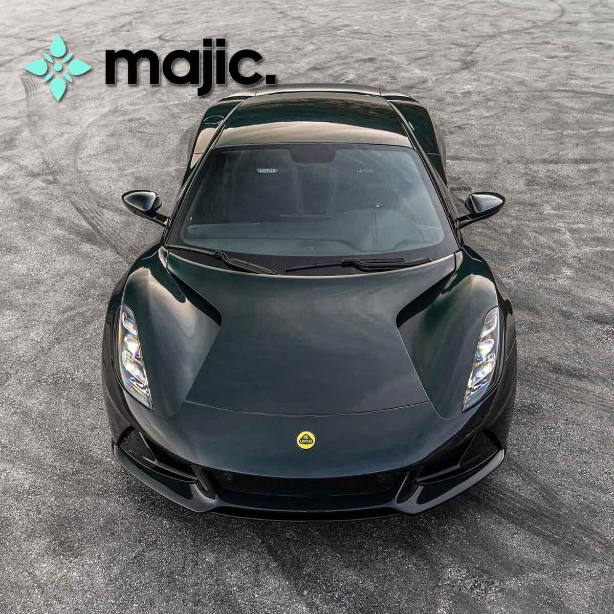 Lotus Dark Verdant Paint (M505)