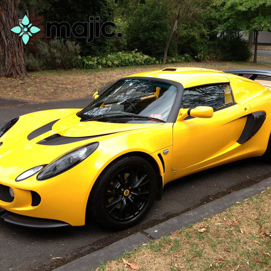 Lotus Saffron Yellow Paint (C106)