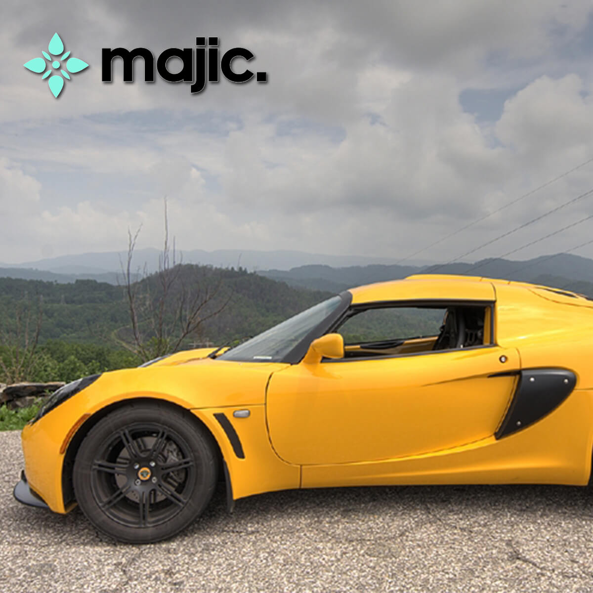 Lotus Solar Yellow Paint (C114)