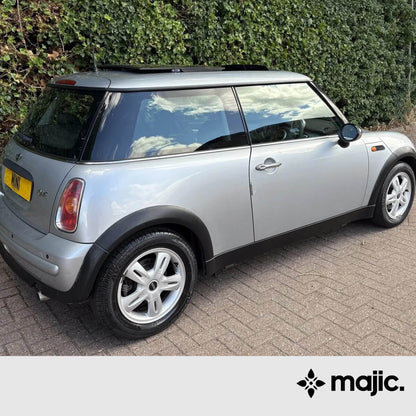 Mini Pure silver Paint (309)