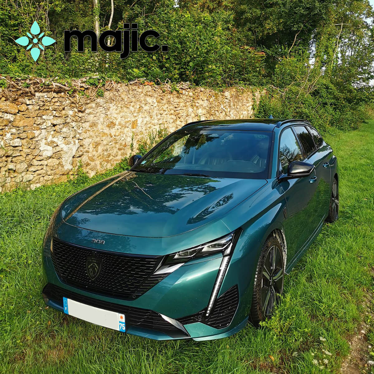 Peugeot Bleu Avatar Blue Paint