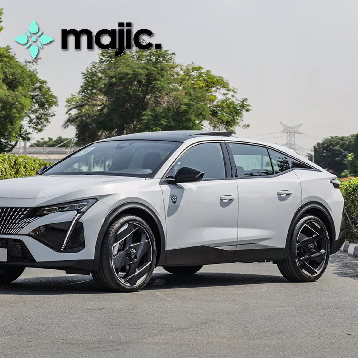 Peugeot Okenite White Paint (ESU)