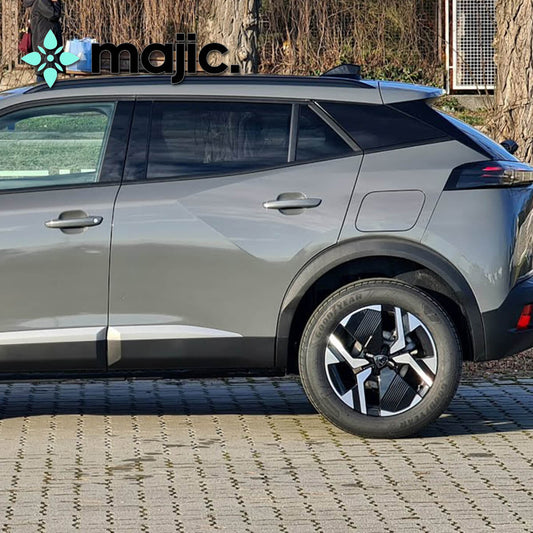 Peugeot Selenium Grey Paint (ELD)