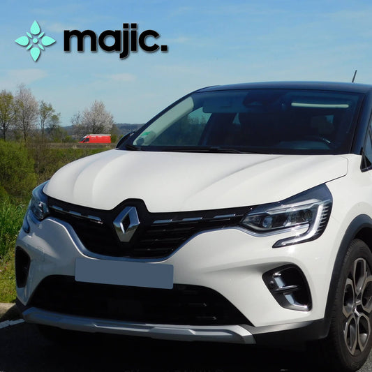 Renault Blanc Albatre White Paint (QNW)