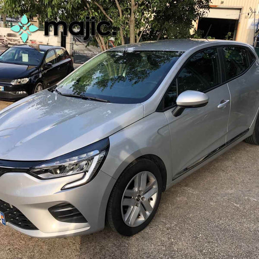 Renault Gris Platine Paint (D69)
