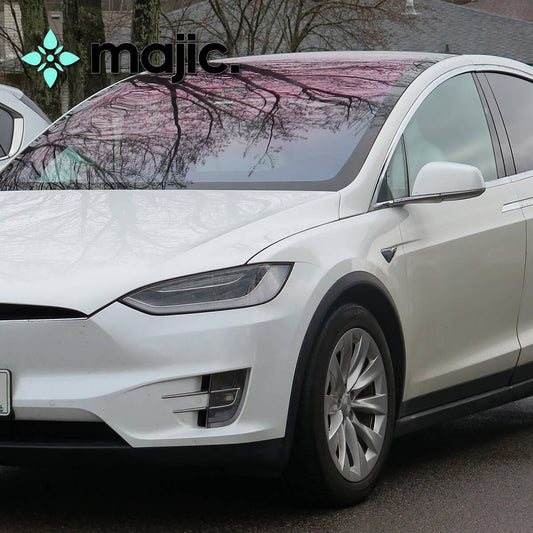 Tesla Catalina White Paint (PBCW)