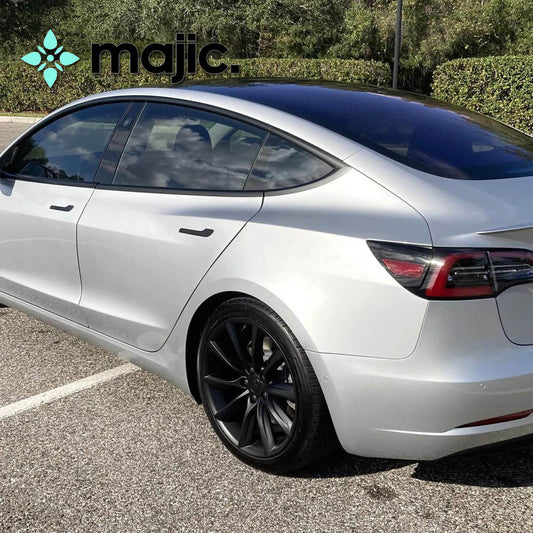 Tesla Starlight Silver Paint