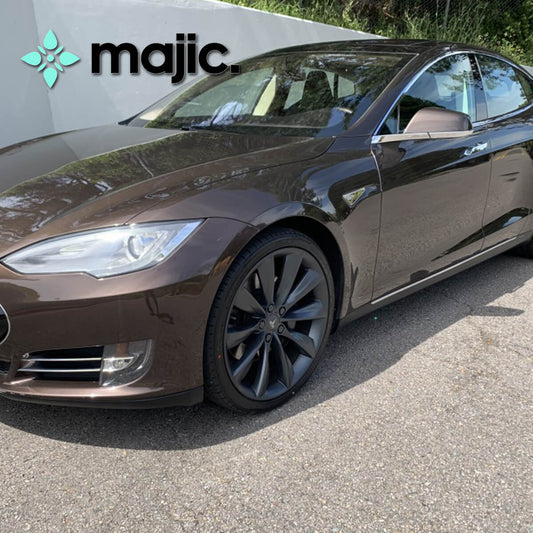 Tesla Sycamore Brown Paint (PMAB)