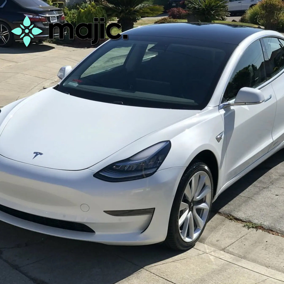Tesla White Water Paint (PPSW)