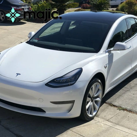 Tesla White Water Paint (PPSW)