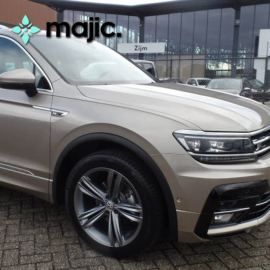 Volkswagen Titanium Beige Paint (LA1X)